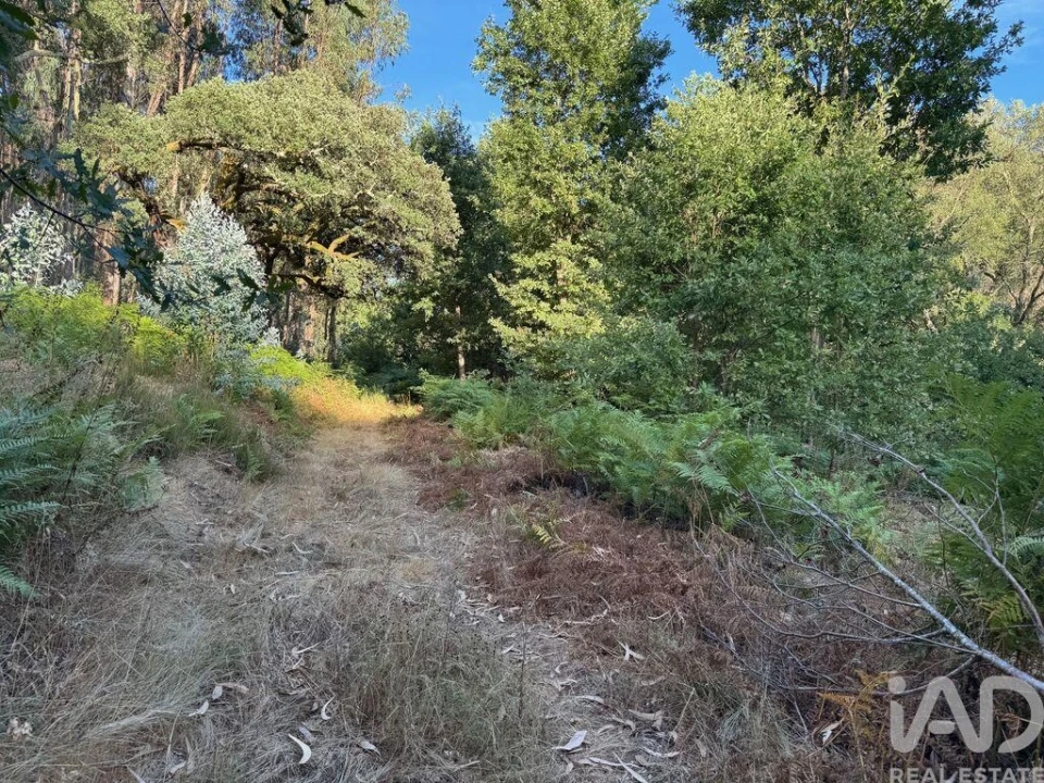 Moradia para Venda em Pedrogão Grande Foto 20