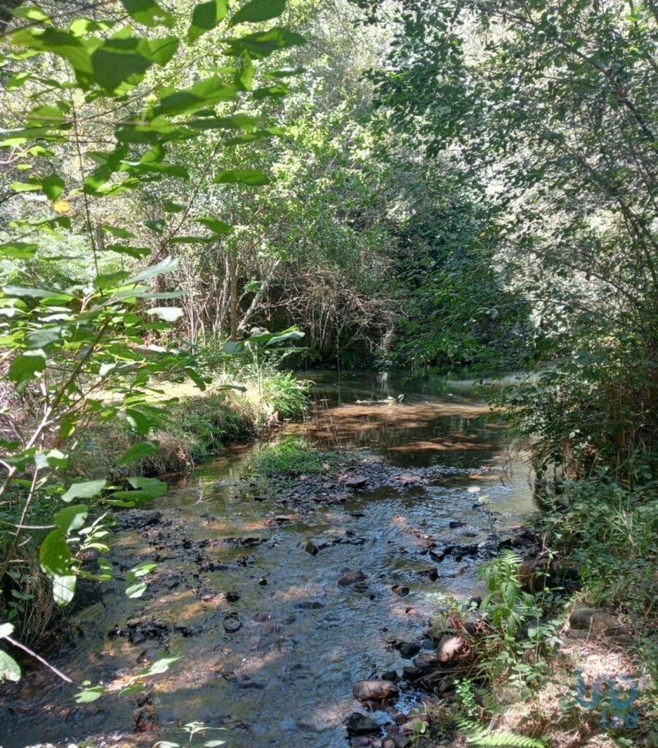 Moradia para Venda em Pedrogão Grande Foto 1