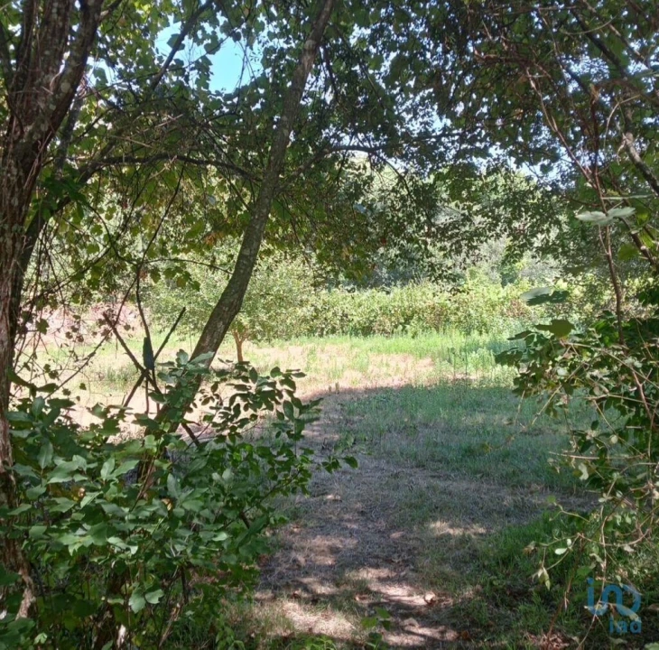 Moradia para Venda em Pedrogão Grande Foto 11