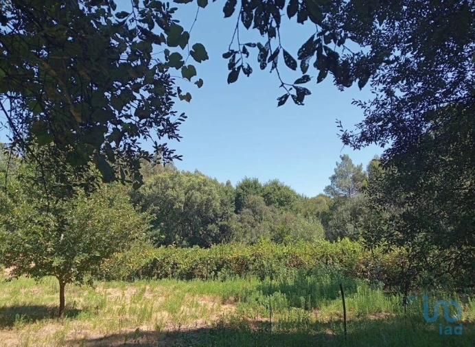 Moradia para Venda em Pedrogão Grande Foto 12