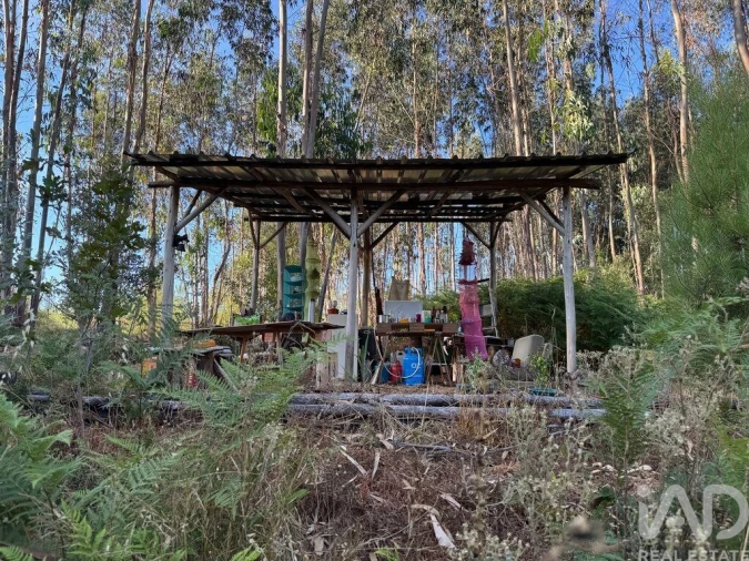 Moradia para Venda em Pedrogão Grande Foto 17