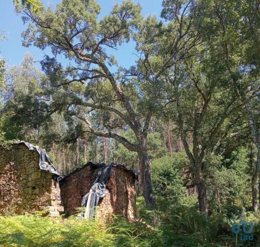 Moradia para Venda em Pedrogão Grande Foto 8
