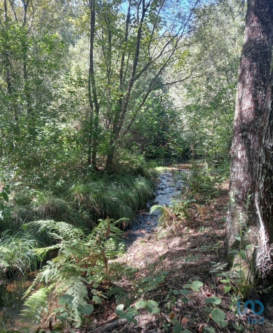 Moradia para Venda em Pedrogão Grande Foto 4