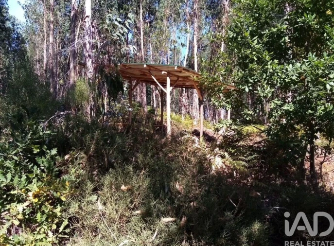 Moradia para Venda em Pedrogão Grande Foto 16