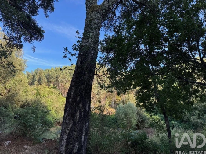 Moradia para Venda em Pedrogão Grande Foto 19