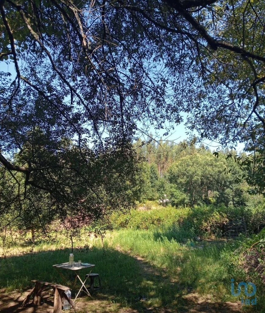 Moradia para Venda em Pedrogão Grande Foto 13