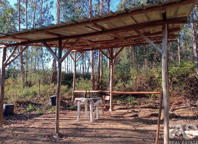 Moradia para Venda em Pedrogão Grande Foto 15