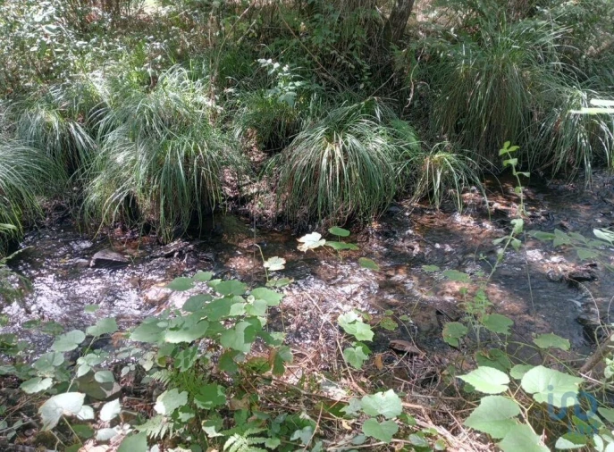 Moradia para Venda em Pedrogão Grande Foto 3