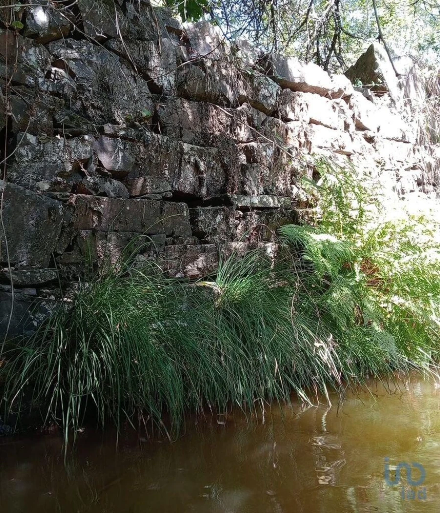 Moradia para Venda em Pedrogão Grande Foto 5