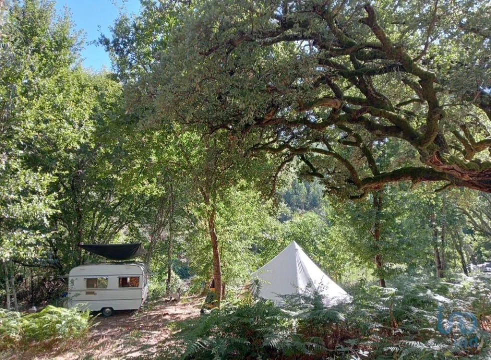 Moradia para Venda em Pedrogão Grande Foto 7