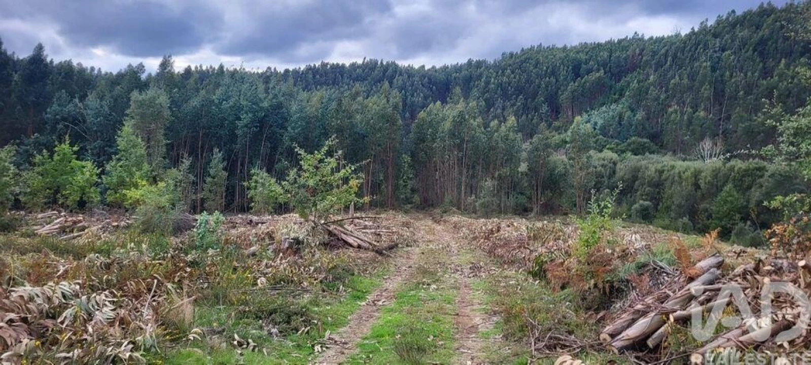 Moradia para Venda em Pedrogão Grande Foto 22