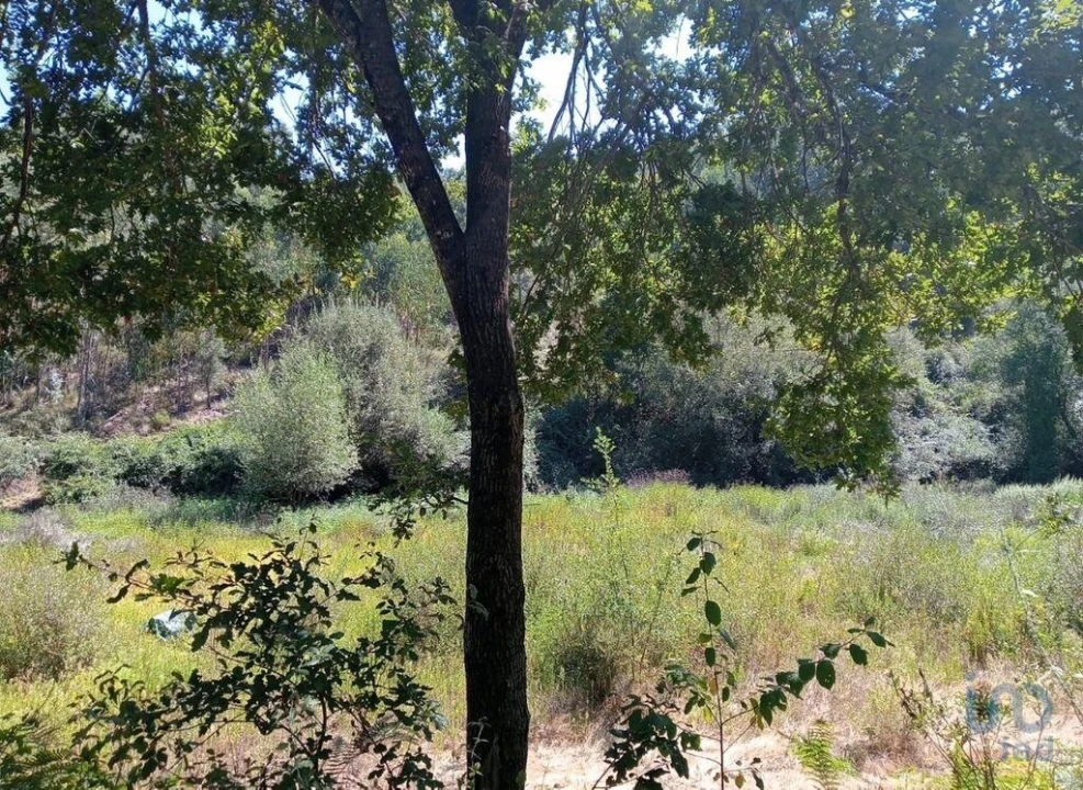 Moradia para Venda em Pedrogão Grande Foto 14