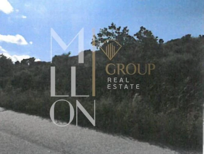 Terreno para Venda em Figueiro da Granja Foto 1