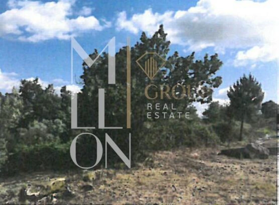 Terreno para Venda em Figueiro da Granja Foto 2