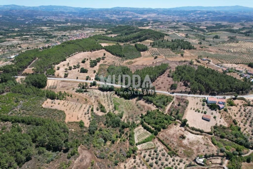 Terreno para Venda em Bouça Foto 8