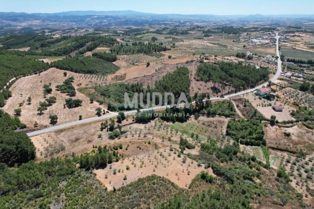 Terreno para Venda em Bouça Foto 7