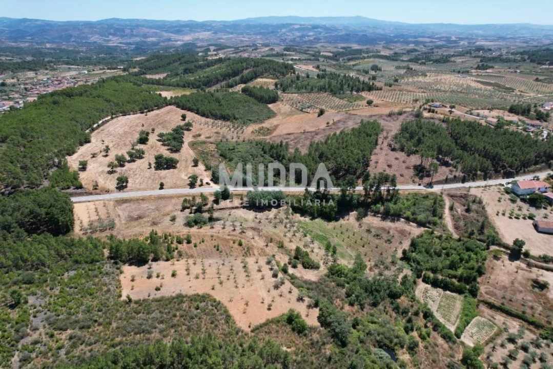 Terreno para Venda em Bouça Foto 6