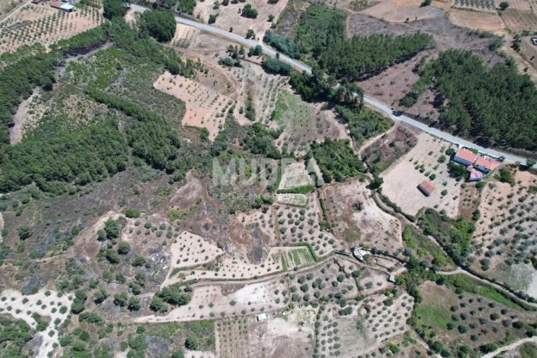 Terreno para Venda em Bouça Foto 4