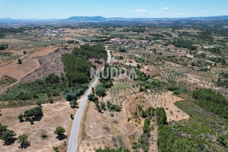Terreno para Venda em Bouça Foto 9