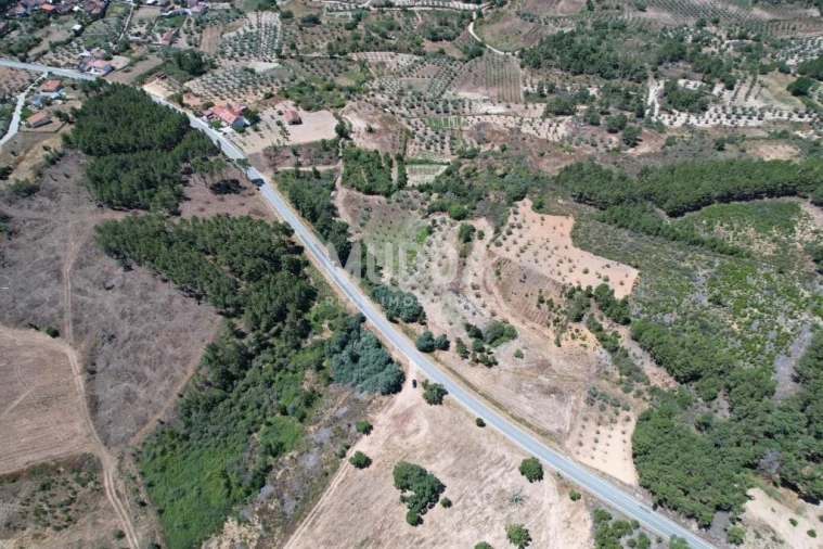 Terreno para Venda em Bouça Foto 2