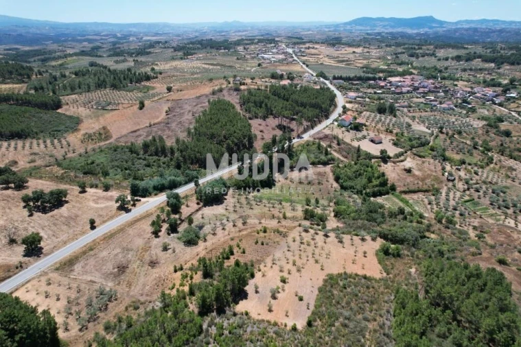 Terreno para Venda em Bouça Foto 11