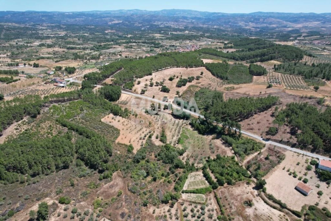 Terreno para Venda em Bouça Foto 5