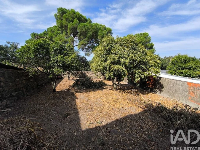 Moradia T2 para Venda em Gafete Foto 17