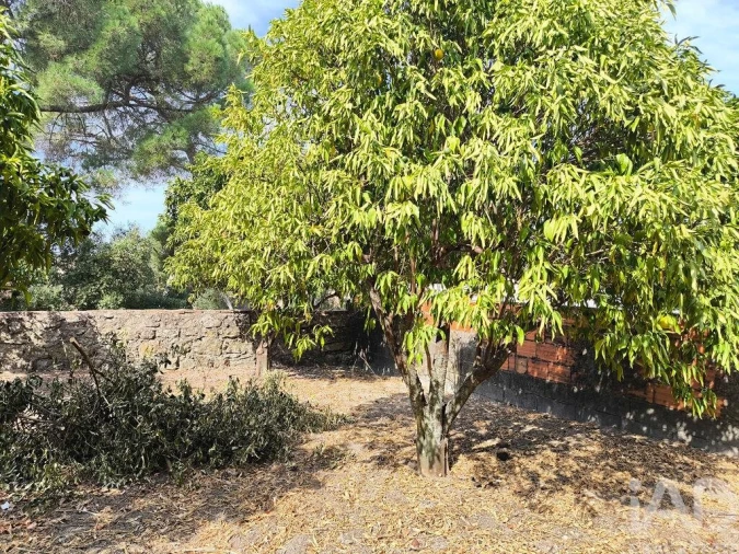 Moradia T2 para Venda em Gafete Foto 20