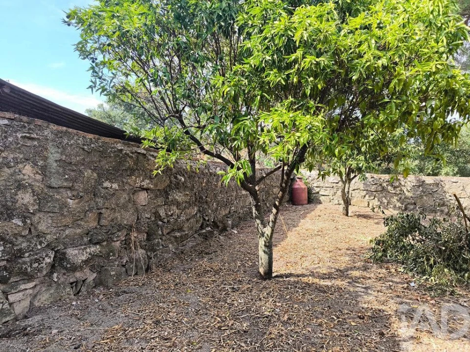 Moradia T2 para Venda em Gafete Foto 19