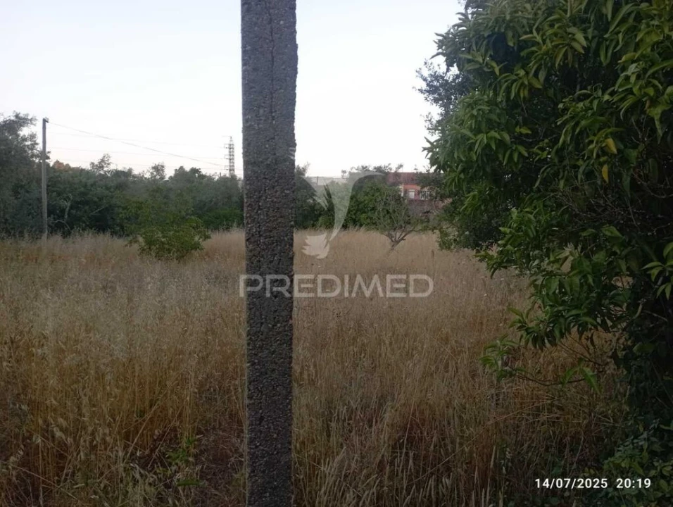 Moradia T3 para Venda em Alvaiázere Foto 19