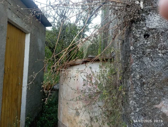 Moradia T3 para Venda em Alvaiázere Foto 10