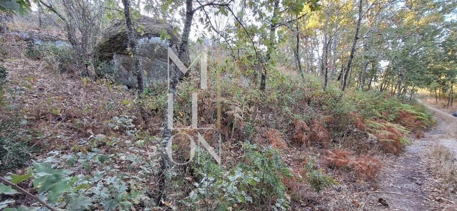 Terreno para Venda em Figueiro da Granja Foto 5