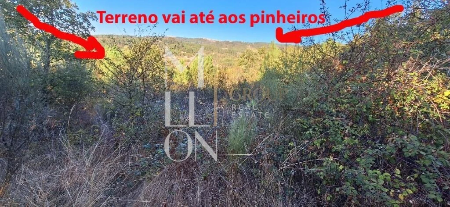 Terreno para Venda em Figueiro da Granja Foto 6