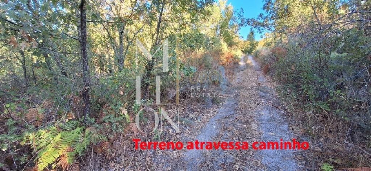 Terreno para Venda em Figueiro da Granja Foto 4