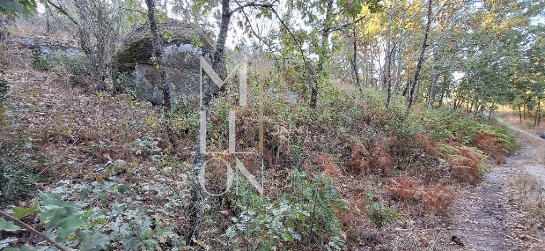 Terreno para Venda em Figueiro da Granja Foto 5