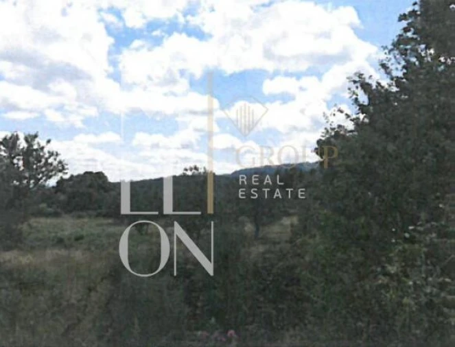 Terreno para Venda em Figueiro da Granja Foto 11