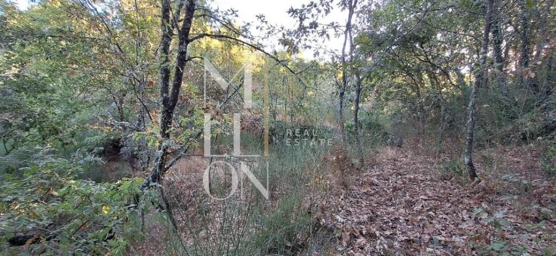 Terreno para Venda em Figueiro da Granja Foto 7