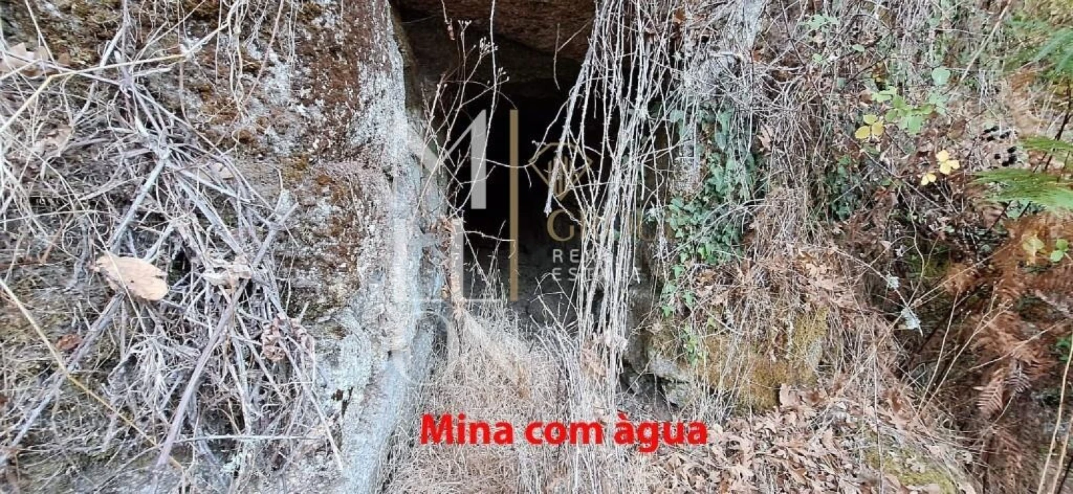 Terreno para Venda em Figueiro da Granja Foto 9