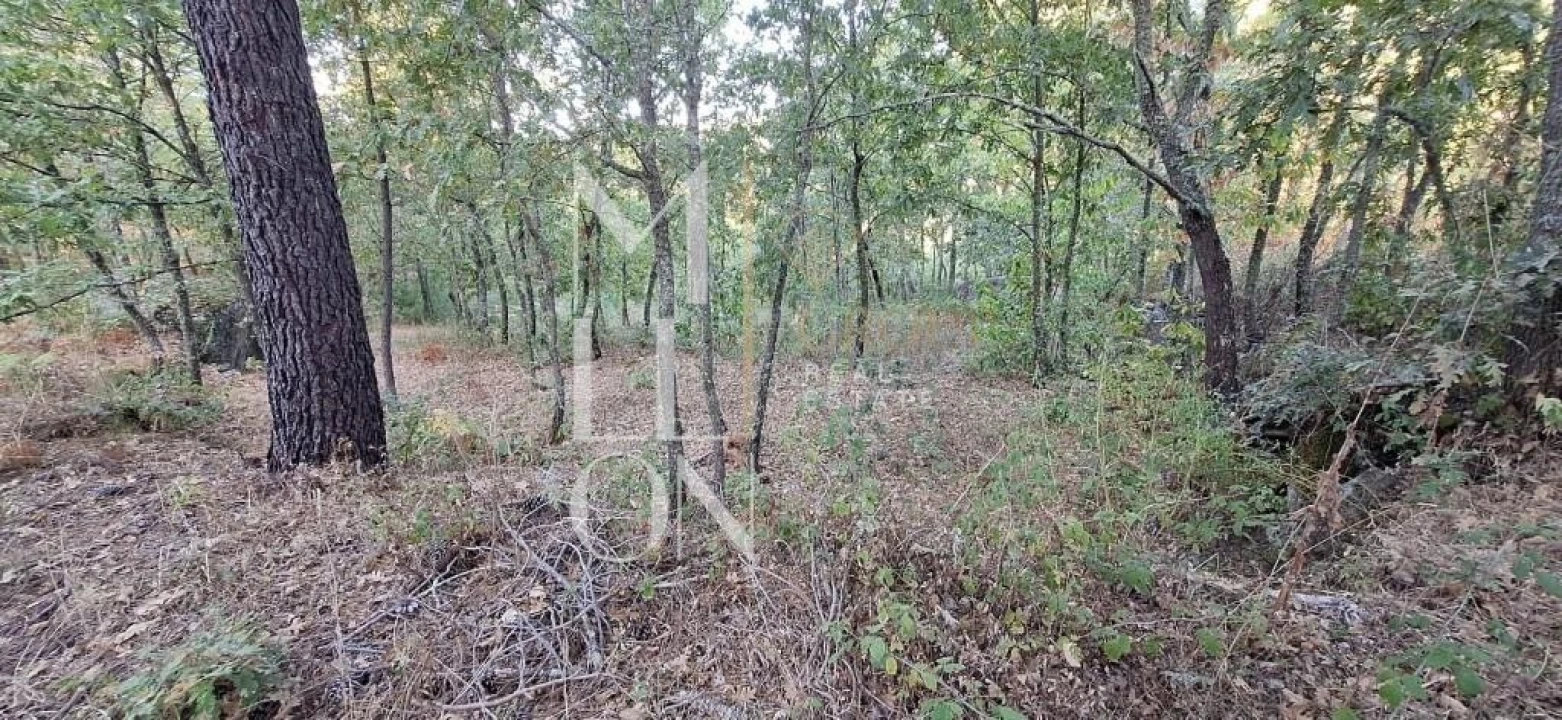 Terreno para Venda em Figueiro da Granja Foto 8