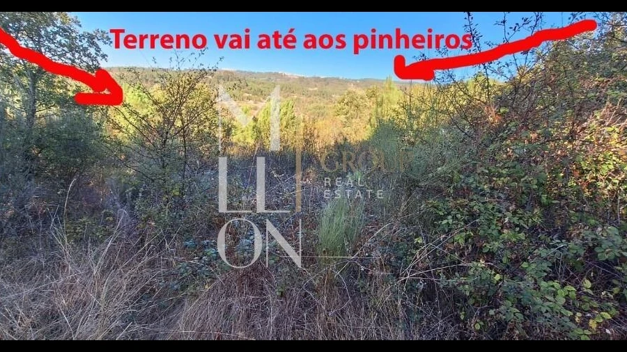 Imagem imóvel