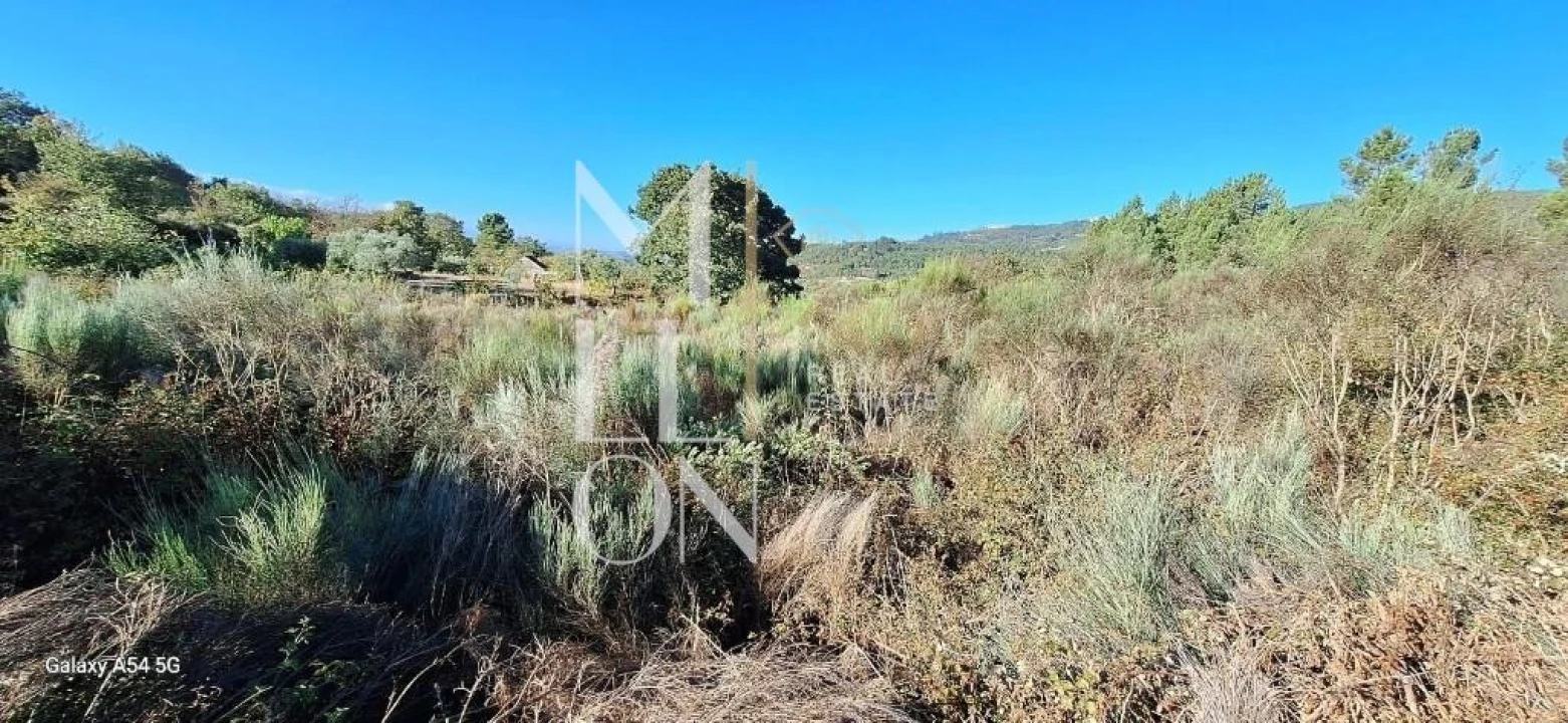 Terreno para Venda em Figueiro da Granja Foto 2