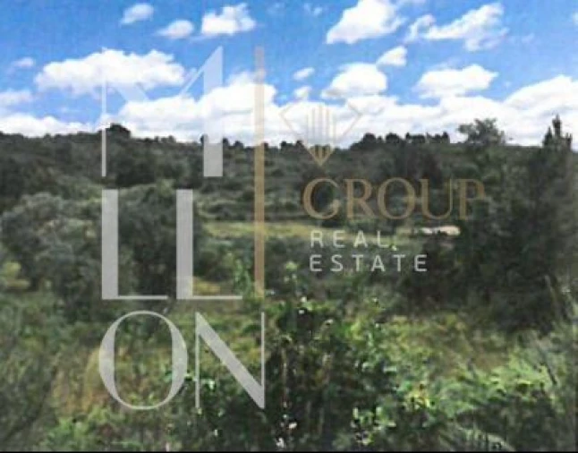 Terreno para Venda em Figueiro da Granja Foto 7