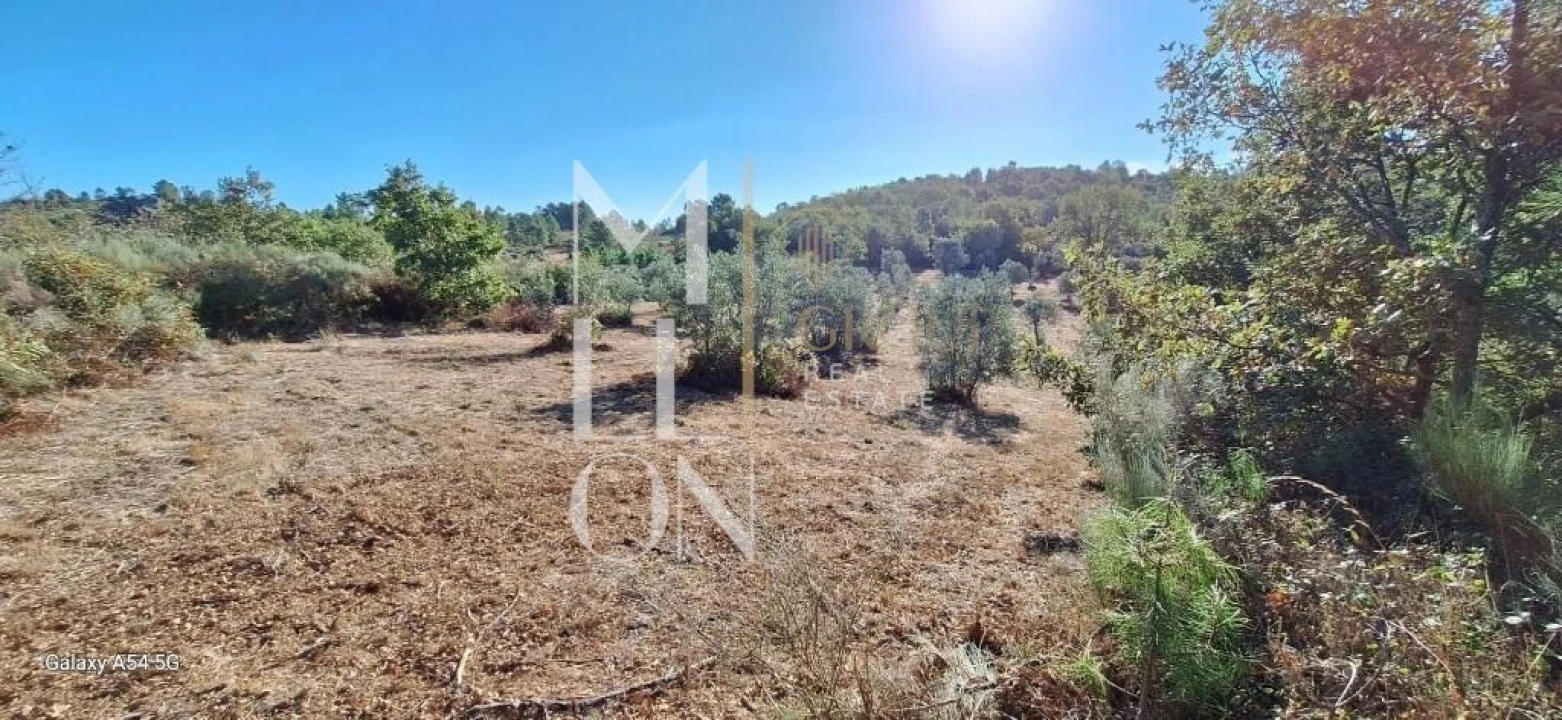 Terreno para Venda em Figueiro da Granja Foto 3