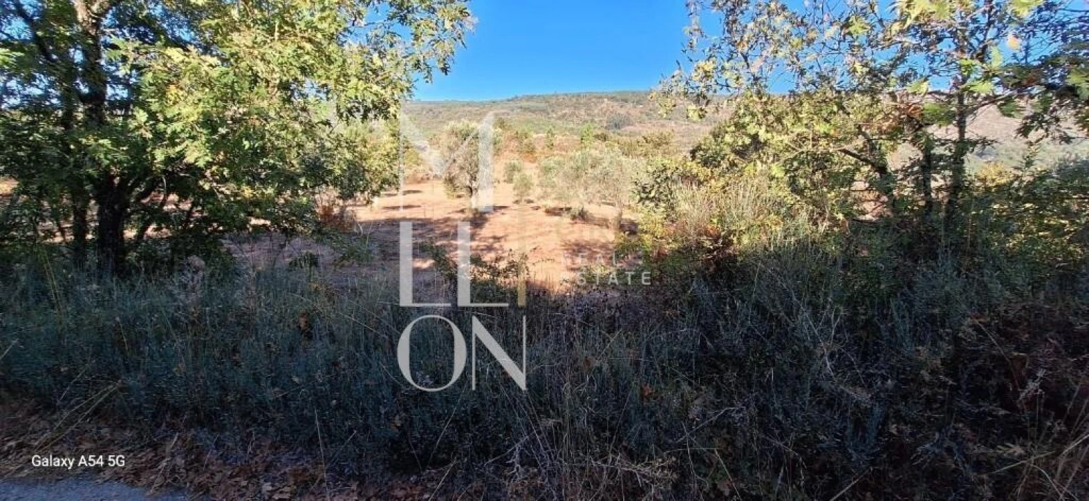 Terreno para Venda em Figueiro da Granja Foto 1