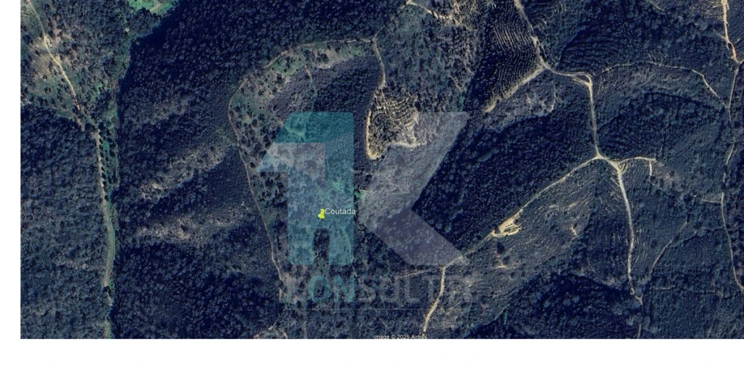 Terreno para Venda em São Martinho das Amoreiras Foto 2