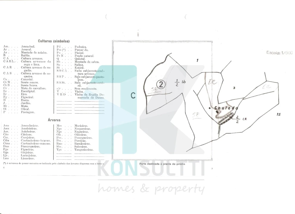 Terreno para Venda em São Martinho das Amoreiras Foto 3