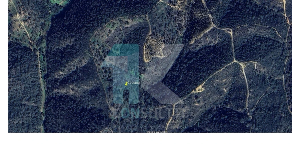 Terreno para Venda em São Martinho das Amoreiras Foto 2