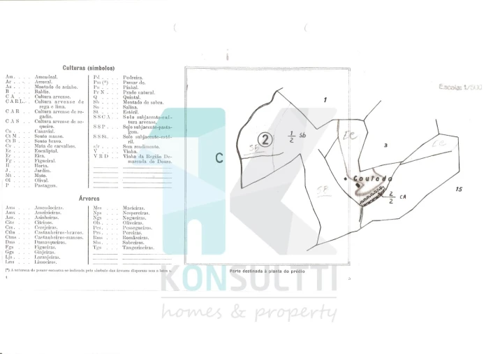 Terreno para Venda em São Martinho das Amoreiras Foto 3