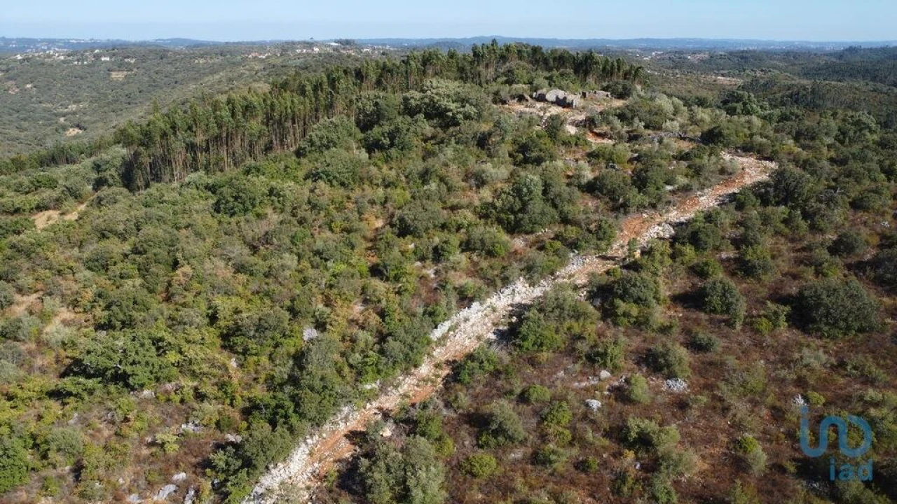 Moradia para Venda em Freixianda, Ribeira do Fárrio e Formigais Foto 1