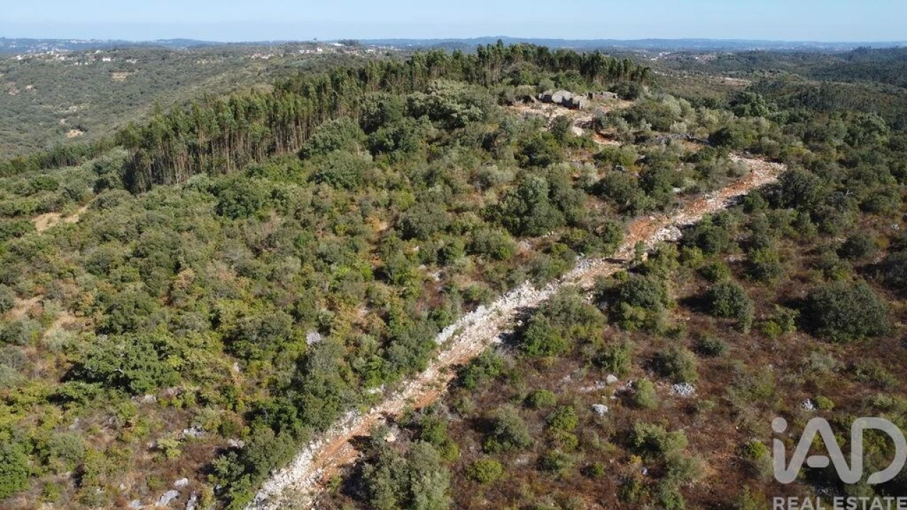 Moradia para Venda em Freixianda, Ribeira do Fárrio e Formigais Foto 20